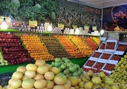 قیمت عمده فروشی میوه و صیفی در تهران/ پسته تازه ۸۰ هزار تا ۱۴۰ هزار تومان 