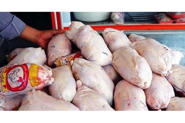 هشدار وزارت جهاد کشاورزی به گران‌فروشان مرغ / با گرانفروشی مرغ برخورد می‌کنیم 