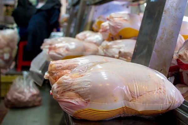  عرضه گوشت مرغ با قیمت ۶۲۹۰۰ تومان در میادین شهر تهران 