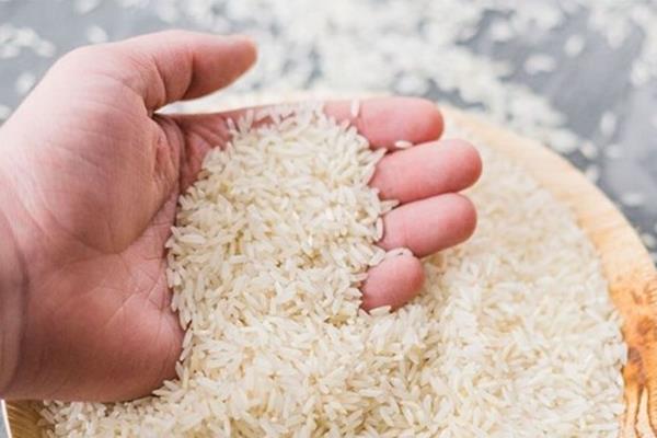 شرط وزارت جهادکشاورزی برای واردات برنج 