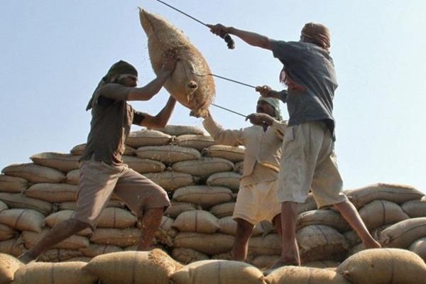 واردات برنج هندی با کاهش ۴۰ درصدی به ۵۴۴ میلیون دلار رسید 