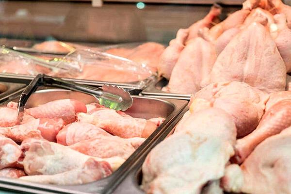 قیمت مرغ تا پایان سال افزایش می یابد؟