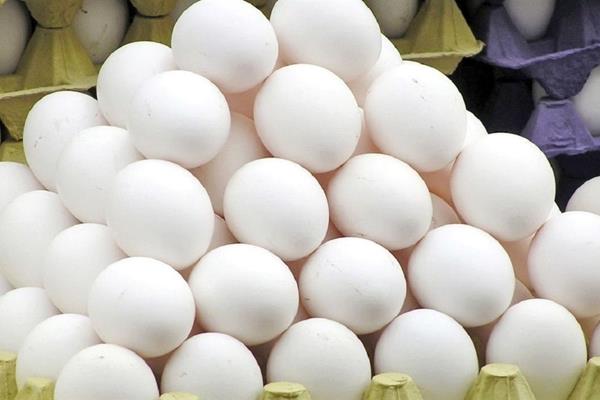 جدیدترین نرخ تخم‌مرغ اعلام شد 