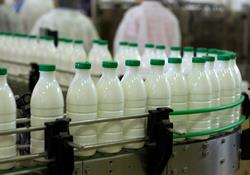  ایران در تولید شیر جهان چه رتبه‌ای دارد؟