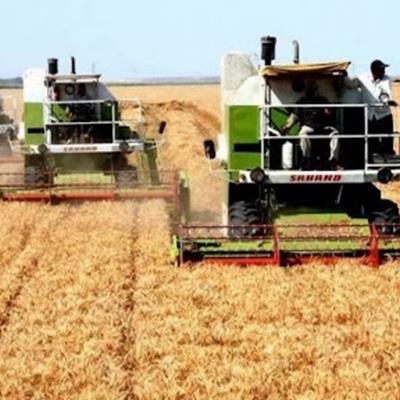 سقوط شدید 50 درصدی تولیدات کشاورزی کشور