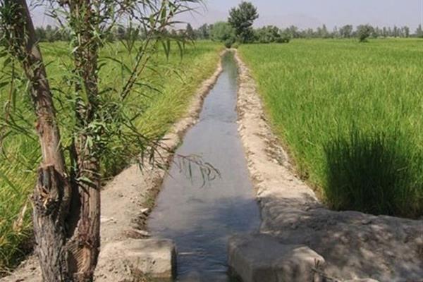 مصرف آب بخش کشاورزی در افق ۵ ساله ۱۸ درصد کاهش می یابد 