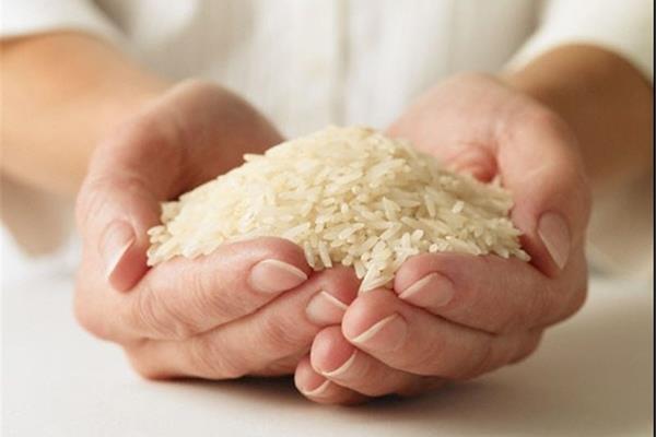 قیمت برنج درجه یک ایرانی کاهش یافت 