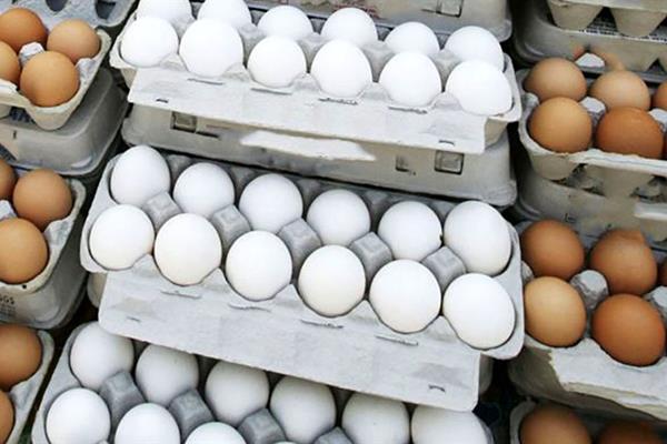  آخرین قیمت تخم‌مرغ در بازار
