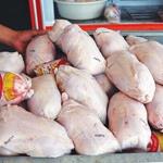 عرضه گسترده مرغ در بازار بعد از افزایش قیمت رسمی
