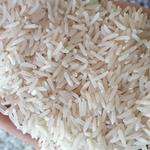 ذخایر برنج کشور رو به اتمام است؟ 