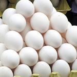 جزئیات قیمت تخم مرغ برای عرضه به مصرف‌کننده