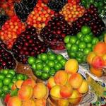 کاهش چشمگیر قیمت میوه‌های نوبرانه در بازار+جزئیات نرخ