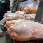 توزیع مرغ تازه و منجمد با قیمت مصوب از امروز در سامانه ستکاوا 