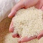 اعلام اتهام 39 واردکننده برنج به کشور