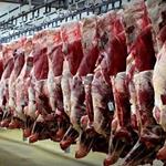 ۲۵ درصد گوشت قرمز کشور را عشایر تامین می‌کنند