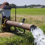 هدر رفت آب در بخش کشاورزی؛ 4 برابر شرب 