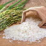 کاهش قیمت برنج آغاز شد