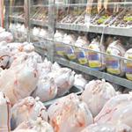 قیمت هر کیلوگرم مرغ به ٢٧ هزار تومان افزایش یافت