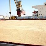۶۰۰ هزار تن گندم از بندر امام خمینی(ره)به نقاط مختلف کشور ارسال شد