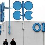تولید نفت اوپک ۱۰۰ هزار بشکه در روز کاهش یافت 
