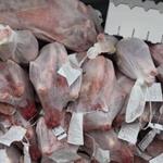 گوشت گوسفند گرم وارداتی از استرالیا وارد ایران شد 