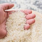 شرط وزارت جهادکشاورزی برای واردات برنج 