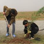 استفاده از ظرفیت دانش‌بنیان‌ها برای کاشت یک میلیارد درخت