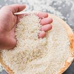 ترمز قیمت برنج کشیده شد/ هر کیلو  ۱۲ تا ۵۸ هزار تومان