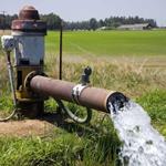 5 استان پر مصرف آب در حوزه کشاورزی معرفی شدند 