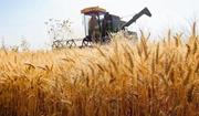  اعلام نرخ خرید تضمینی محصولات کشاورزی به چهارشنبه موکول شد 