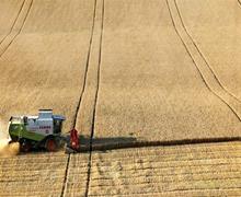 خبر بد اوکراین برای بازار محصولات کشاورزی