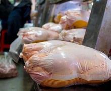 توزیع مرغ تازه و منجمد با قیمت مصوب از امروز در سامانه ستکاوا 