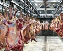 افزایش ۵ درصدی عرضه گوشت قرمز در مرداد امسال 