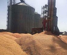 ۴.۵  میلیون تن گندم در سیلو‌های کشور ذخیره شد