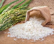 کاهش قیمت برنج آغاز شد