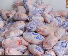 ۱۱۰۰ تن مرغ منجمد برای جبران کمبود تولید داخل وارد می شود 
