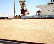 ۶۰۰ هزار تن گندم از بندر امام خمینی(ره)به نقاط مختلف کشور ارسال شد