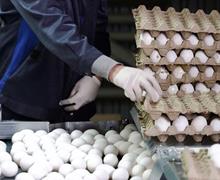 قیمت روز تخم‌مرغ در بازار + جدول