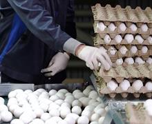 قیمت تخم مرغ در بازار تهران