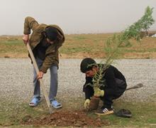 استفاده از ظرفیت دانش‌بنیان‌ها برای کاشت یک میلیارد درخت