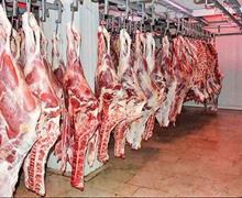 قیمت جدید گوشت گوسفندی و گوساله در بازار 