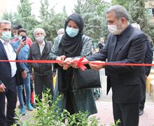 احداث نخستین مزرعه شهروندی منطقه ۴ تهران در محله مجید آباد