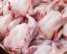  قیمت جدید گوشت مرغ در آینده نزدیک اعلام شد!