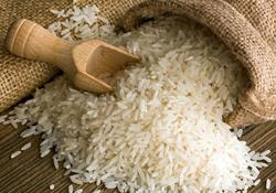 میزان واردات برنج به کشور چقدر است؟