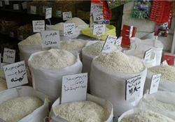 افزایش قیمت برنج در خرده فروشی‌ها/علت چیست؟