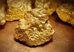 از سرگیری رشد طلا