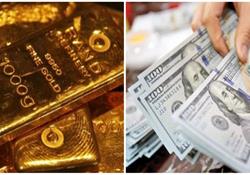 نرخ دلار ، طلا و سکه امروز یکشنبه 16 بهمن 1401