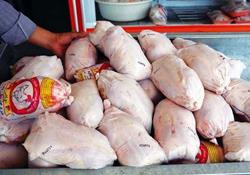 تنظیم بازار مرغ شعار بی‌سرانجام مسئولان/ نرخ هر کیلو مرغ به 19 هزار تومان رسید