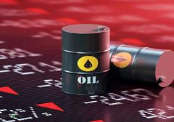 قیمت نفت آمریکا همچنان در حال سقوط است 