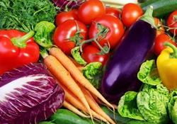 صادرات 1/5 میلیون تن میوه و سبزی در ۴ ماهه ابتدای امسال/ توسعه صادرات محصولات کشاورزی در برنامه‌های 5 ساله توسعه